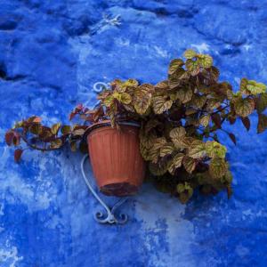 MAVİ ŞEHİR CHEFCHAOUEN FAS - 7